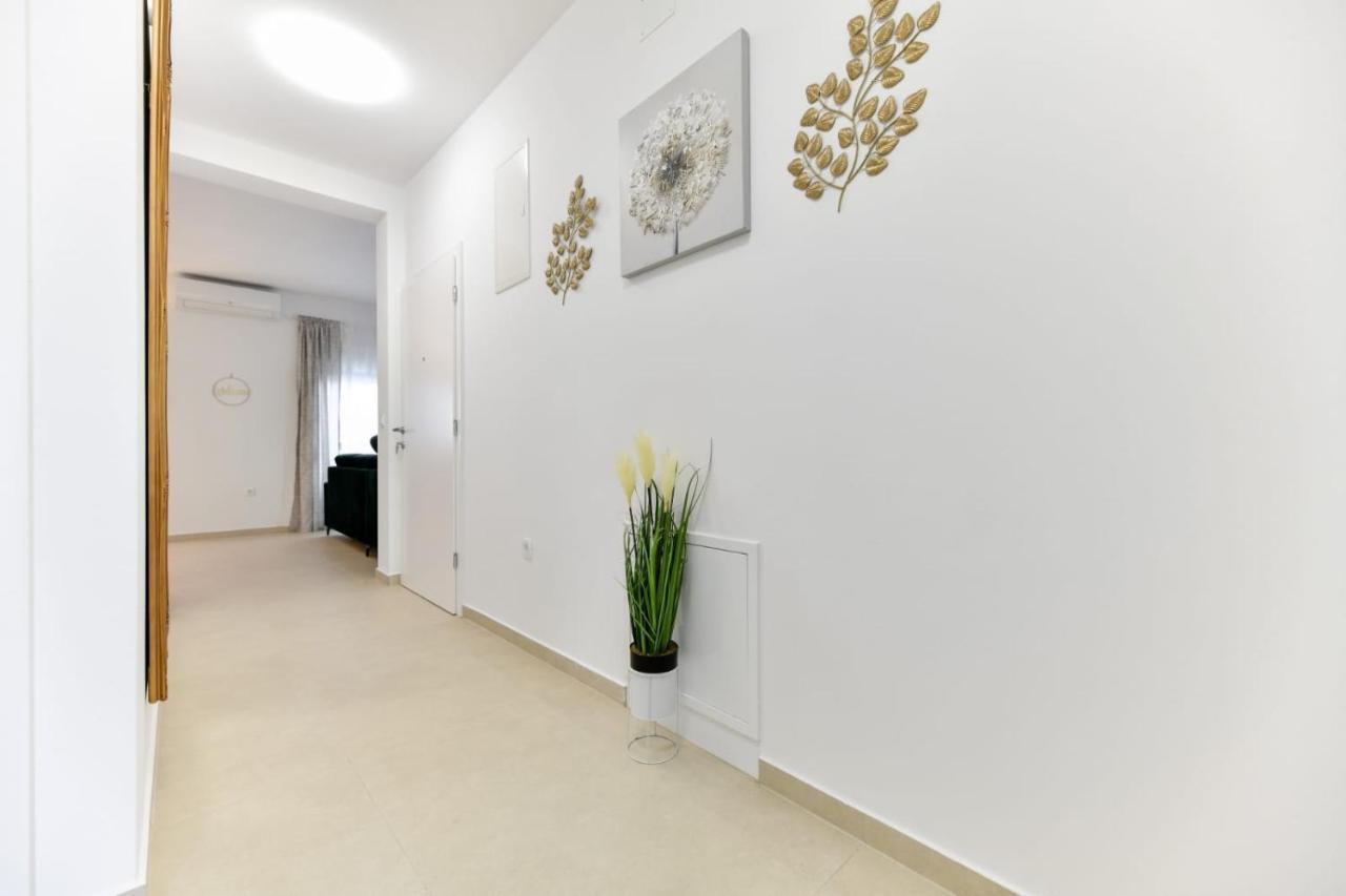 Family Apartment Amare Zadar Zewnętrze zdjęcie